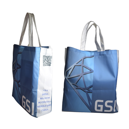 GSI Shopping bag (Cloth)