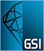 GSI - Verify Your Report